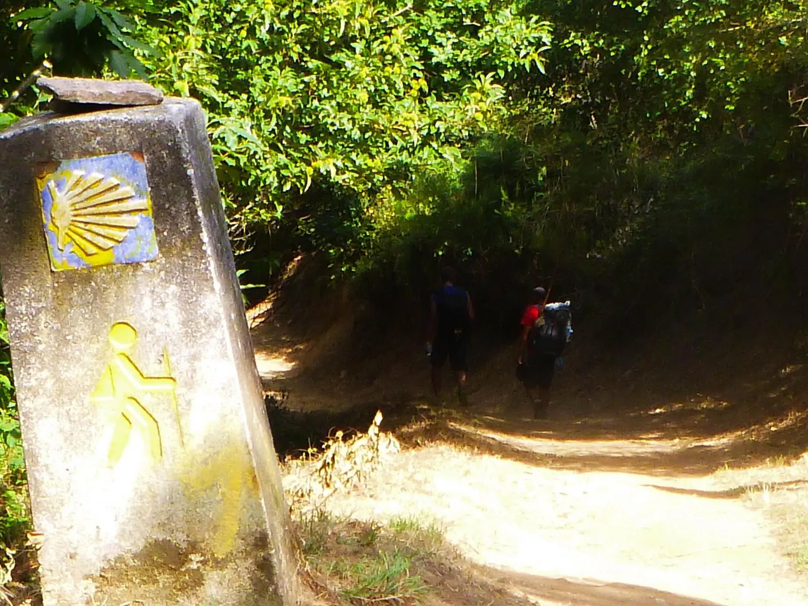 Mojón con la concha y peregrinos entrando en el bosque