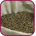 Lenteja de Tierra de Campos