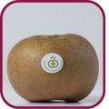 Manzana Reineta del Bierzo