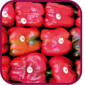 Pimiento de Fresno-Benavente