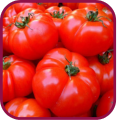 Tomate de Mansilla de las Mulas