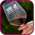 Vino de Toro