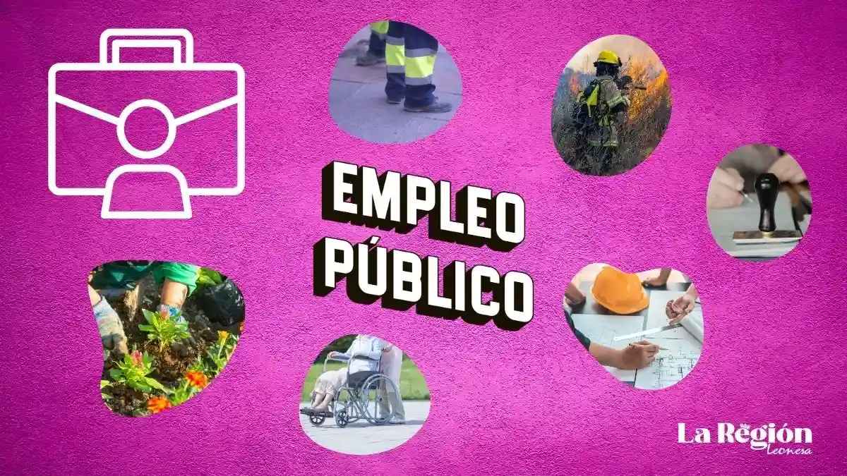 Empleo Público: Nueva Sección