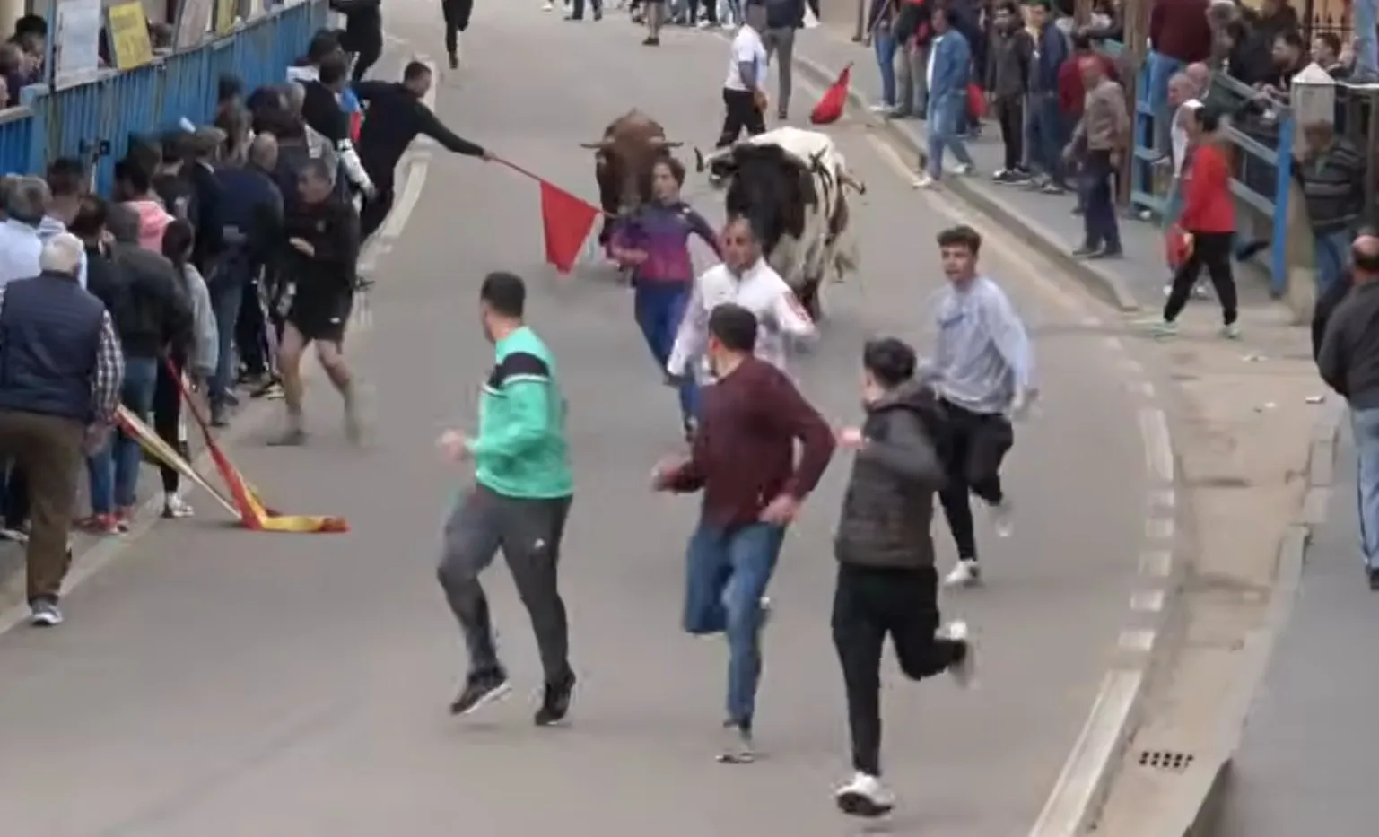 Toros del Agua en La Bóveda de Toro