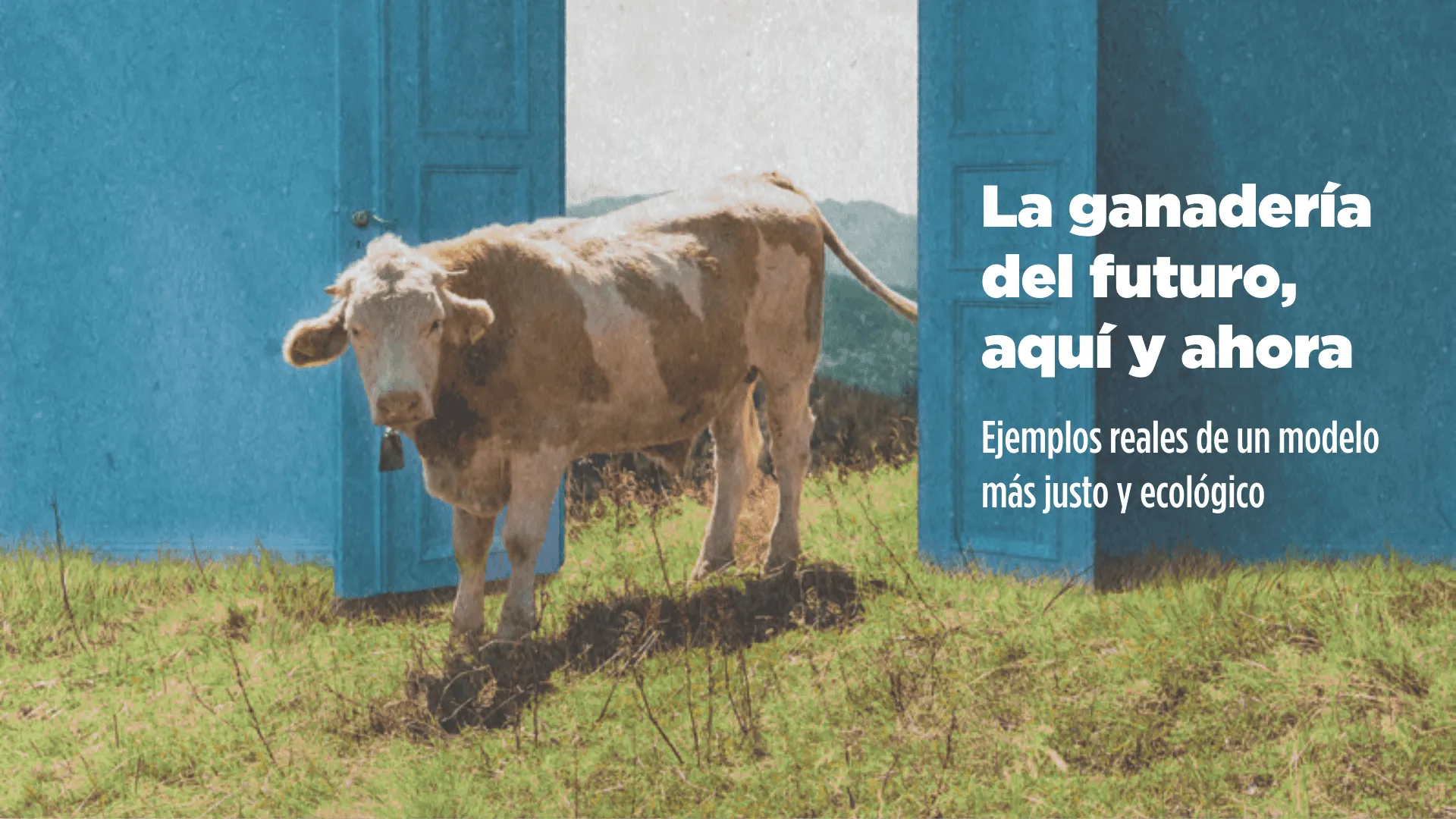 Guía de buenas prácticas ganaderas en el programa de Fridays For Future de Salamanca