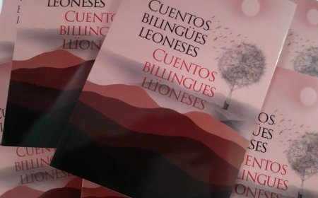 UPL exije a la junta que destine presupuesto a la lengua leonesa