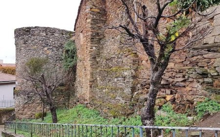 Alcañices, historia viva