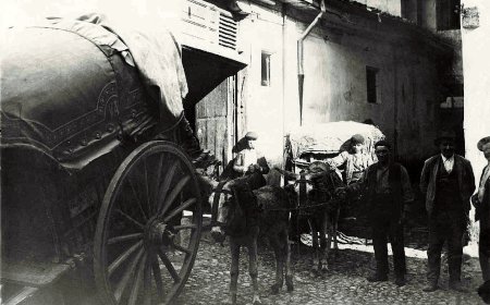 La arriería: Un oficio transmitido de padres a hijos