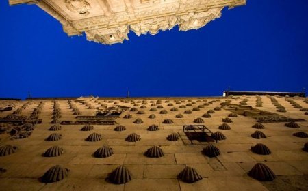 La Casa de las Conchas de Salamanca
