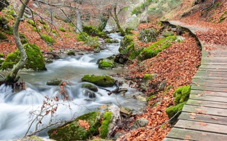 6 Rutas Otoñales por la Región