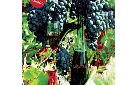 Los vinos con D.O Bierzo y su historia