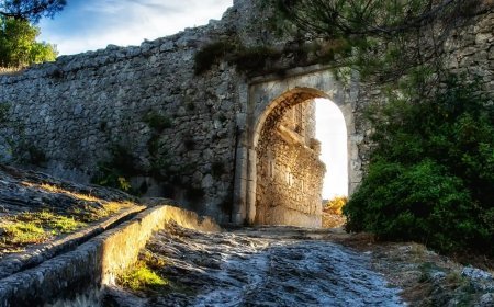 Cuando León fue Corona e Imperio