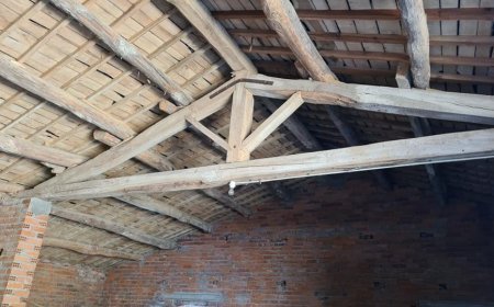 Pendolones y tabiques de rama, cosas de Aliste.