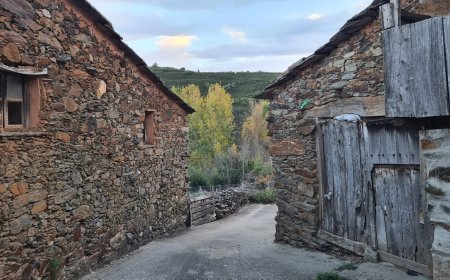 Lo leonés se pierde