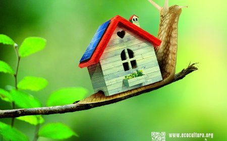 Ecocultura vuelve a Zamora