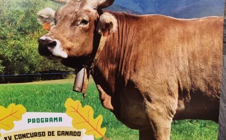 XV Feria ganadera de noviembre en Riaño
