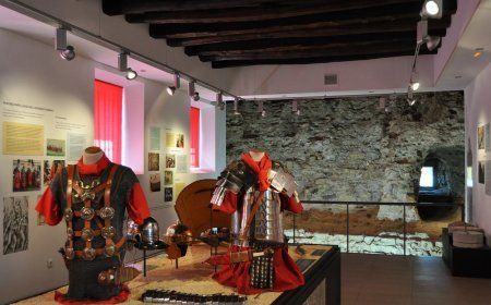 Centro de interpretación del León Romano