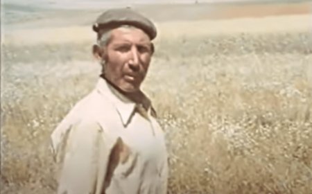 Tierra del Pan (Zamora) 1975