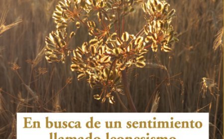 En busca de un sentimiento llamado leonesismo