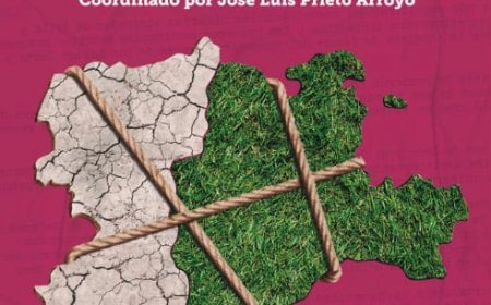 Castilla y León, la autonomía fallida