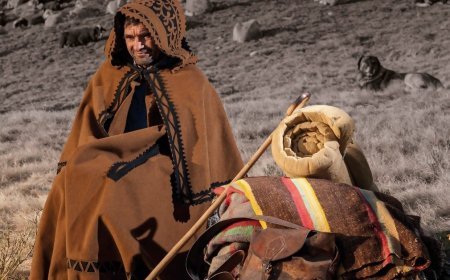 Zamora - Tierra del ovino