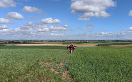 Viajando en el tiempo: Grajal de Campos