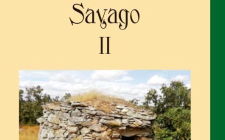 Relatos del corazón de Sayago II