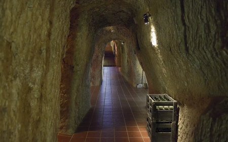 Museo del Vino de Valdevimbre