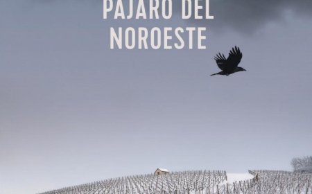 Pájaro del noroeste