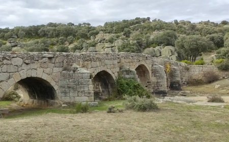 Puente mocho