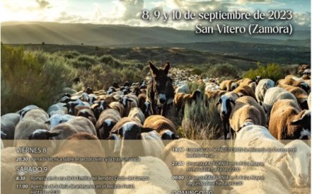 VIII Feria del pastor y la trashumancia de San Vitero