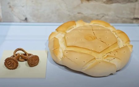 Exposición Arte Pastoril, Diputación de Salamanca