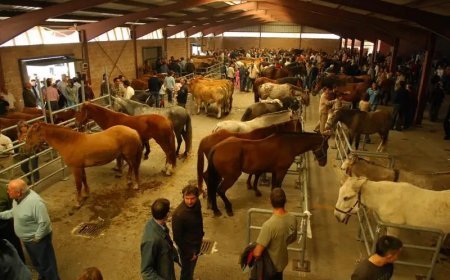 Feriona de Villablino 2023