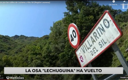 Osos por las calles de Laciana y Alto Sil