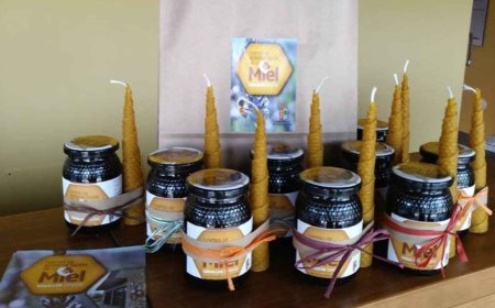 Centro de interpretación de la miel. Sagallos