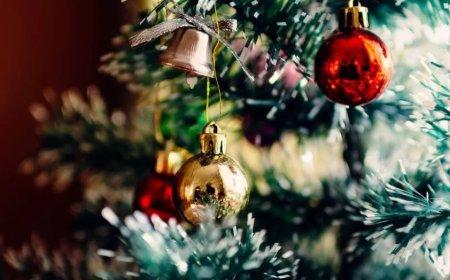 Programas de Navidad 2023