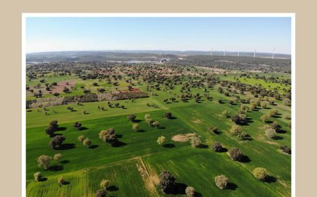 Paisajes y colores de Zamora