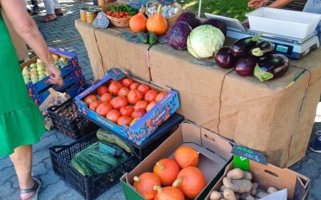 Mercado campesino de Cacabelos, un rastro con sabor tradicional