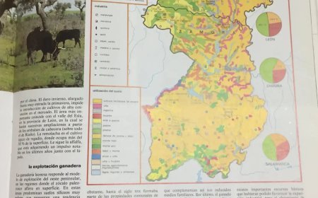 Enciclopedia Larousse. Año 1983