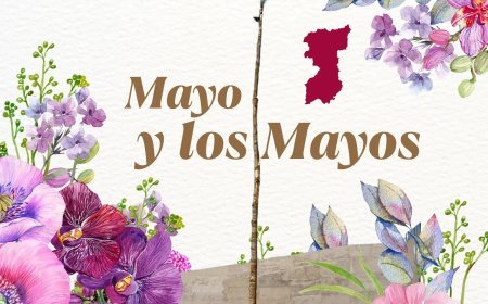 Mayo y los mayos