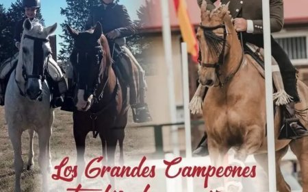 IX Concurso de Equitación de Trabajo de Fuenteguinaldo