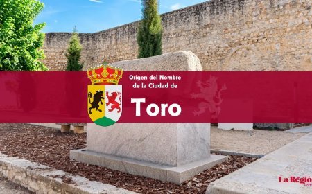 Origen del Nombre de la Ciudad de Toro