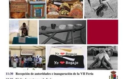 VII Feria de las Tradiciones de Bogajo