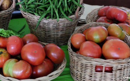 I Feria agroalimentaria Ribera del Tormes