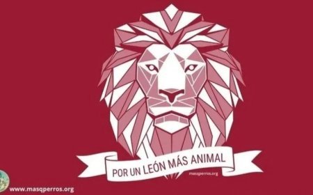 Paremos el cierre del ZEC de la Calle Buen Suceso