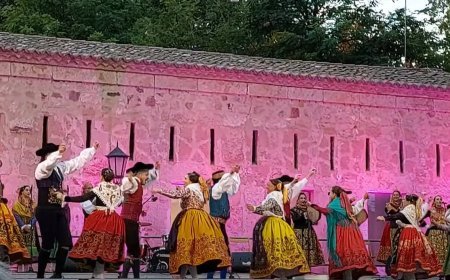 Bailes de Toro en el Festival Internacional de Folklore en Zamora