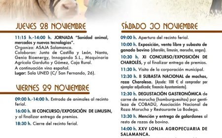 Feria de San Andrés de ganado bovino en Ciudad Rodrigo