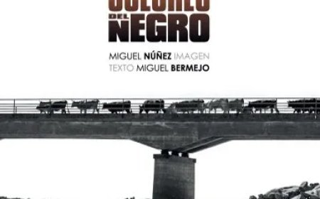 Todos los colores del negro, nuevo libro de Miguel Núñez y Miguel Bermejo
