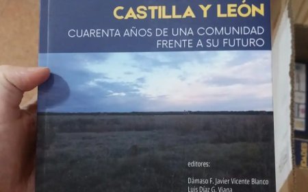 Identidades en Castilla y León. Cuarenta años de una comunidad frente a su futuro