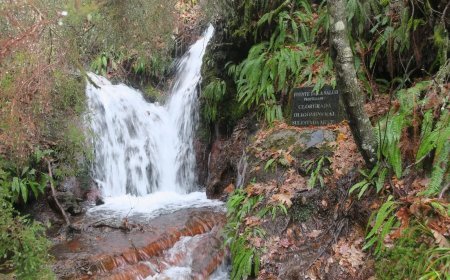 Las Fuentes Medicinales de Noceda: Un tesoro terapéutico